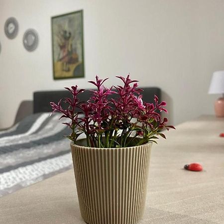 Cozy Apartment Ladybug, Сараево Екстериор снимка