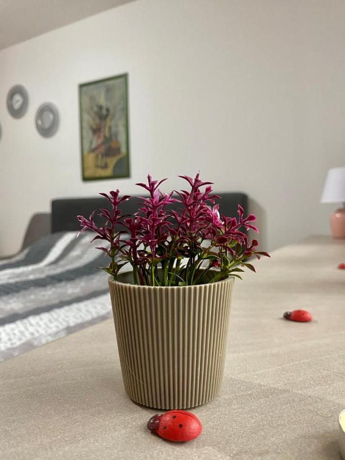 Cozy Apartment Ladybug, Сараево Екстериор снимка